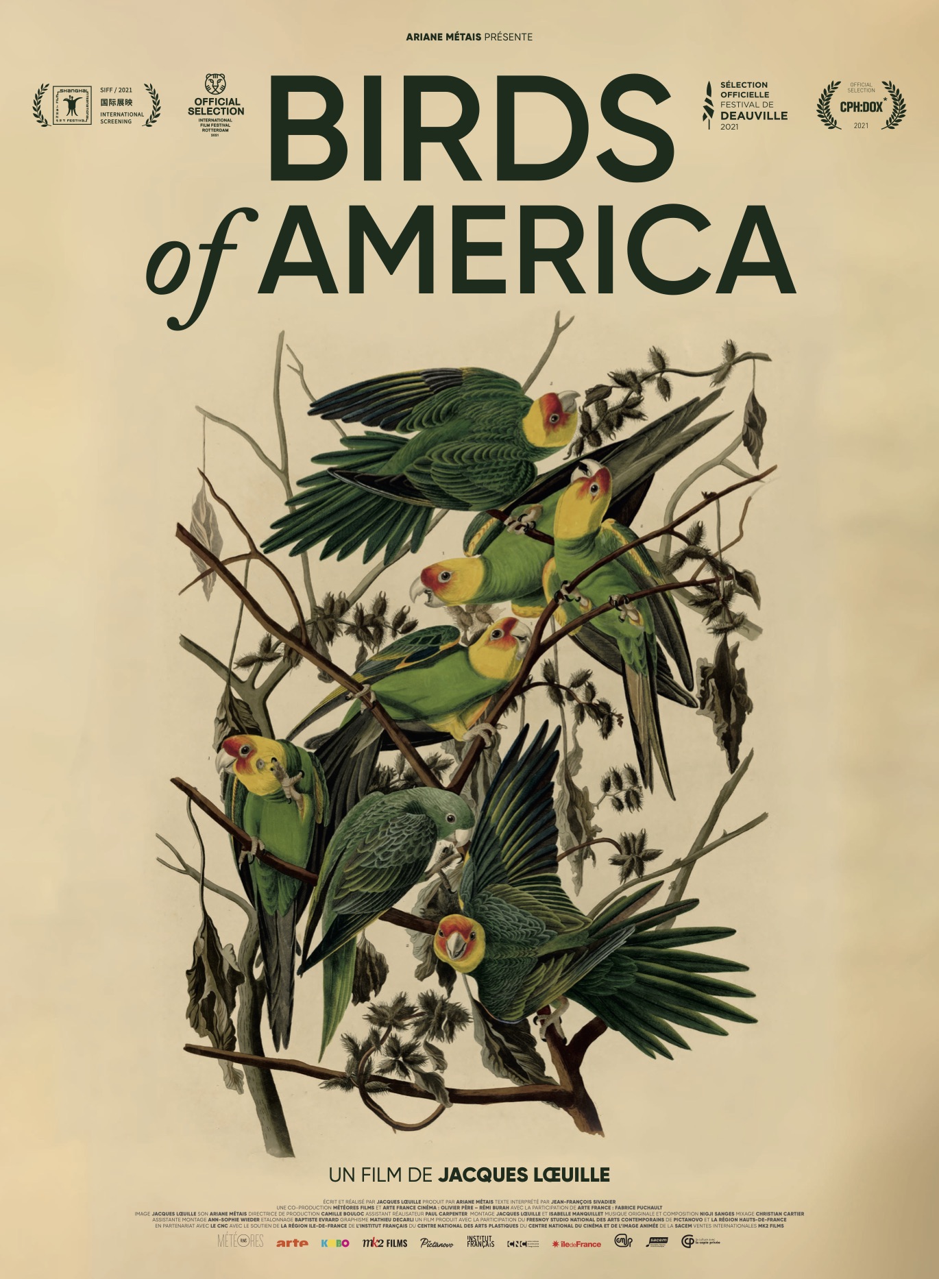 birds-of-america_poster120x160