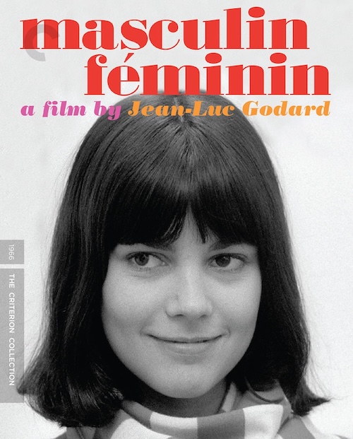 MASCULIN FEMININ