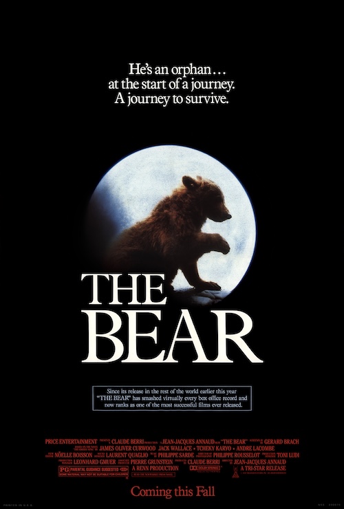 THE BEAR