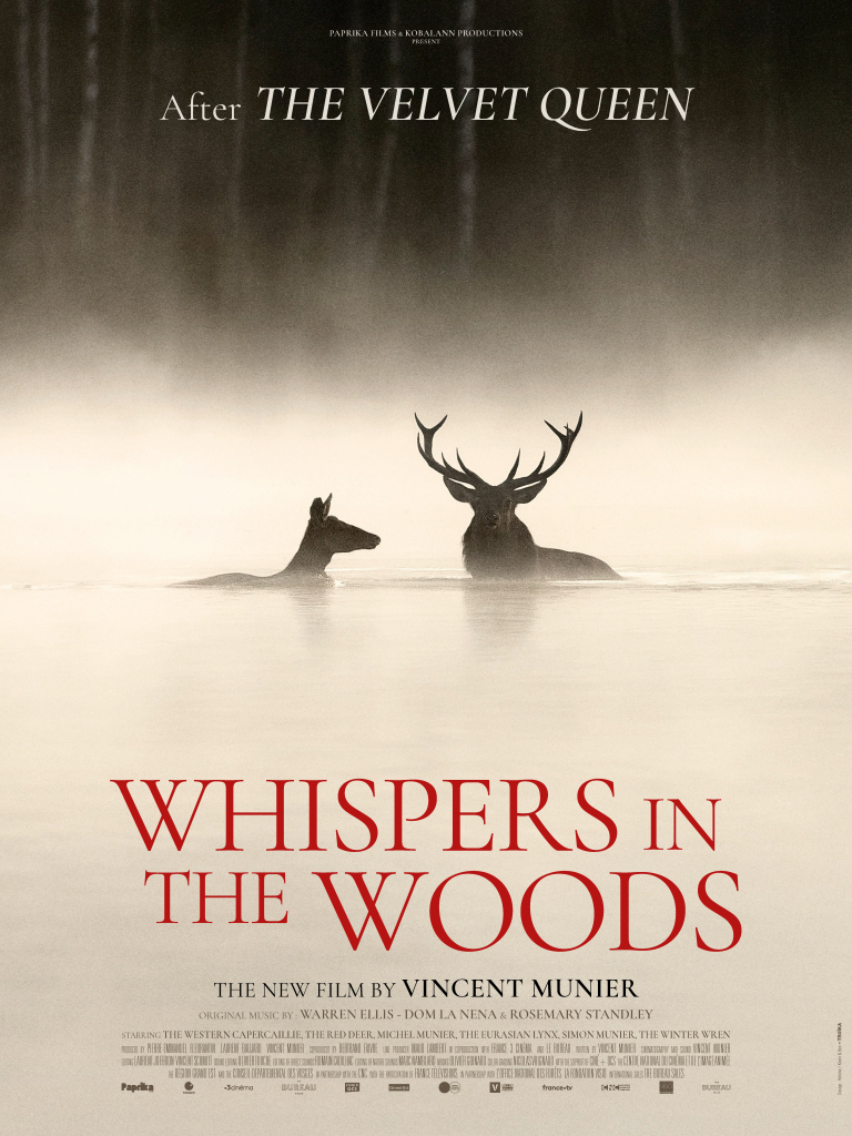 whispers-in-the-woods-30-10-bd-768×1024 whispers-in-the-woods-30-10-bd-768×1024