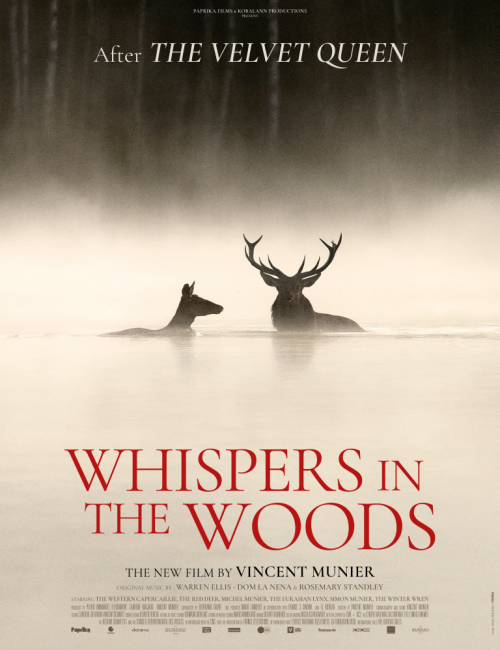 whispers-in-the-woods-30-10-bd-768×1024